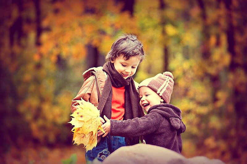 Kinder spielen im Herbst im Wald mit Laub