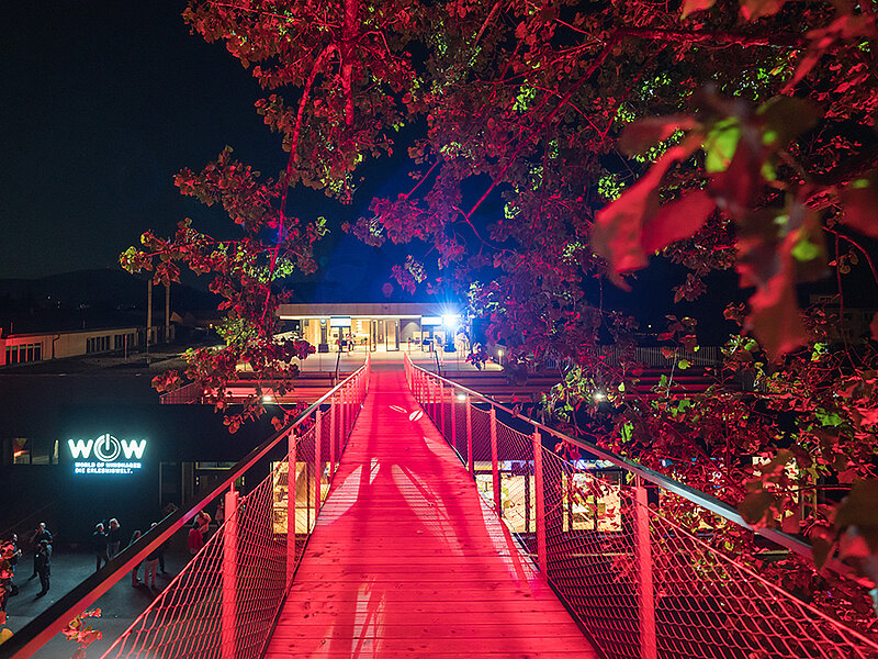Eröffnung der neuen World of Windhager: Treewalk mit Beleuchtung