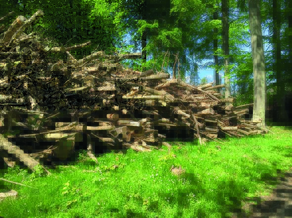 Hackgut herstellen